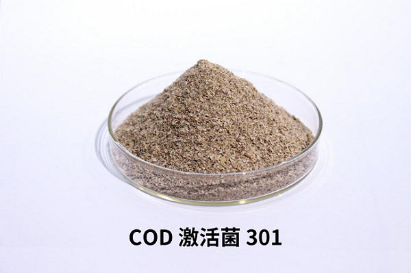 庫巴魯?COD激活菌301