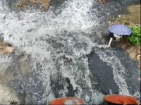 氨氮濃度超地表水Ⅲ類標(biāo)準(zhǔn)15.3倍，廣東茂名被公開通報(bào)！